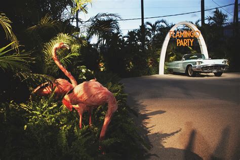 hermes flamingo party miami|Soho Studios .